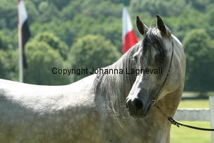 margant_9724.jpg