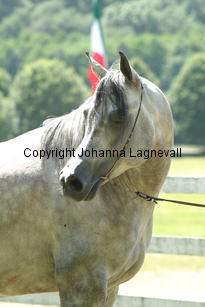 margant_9725.jpg