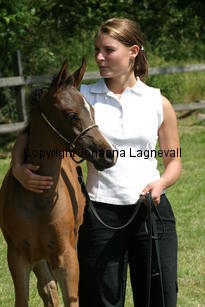 wanzydell_9405.jpg