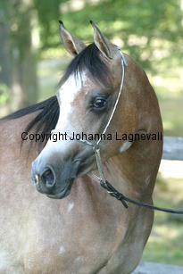liliana_9555.jpg
