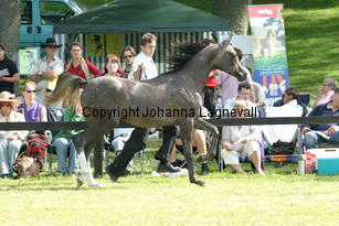 baronet_9193.jpg