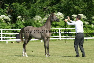 nesjelkhidarstreasure_9179.jpg