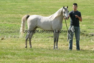 elthaymahfouz_9225.jpg