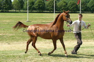 exeptionel_9241.jpg