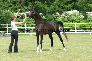 gharam_9255.jpg