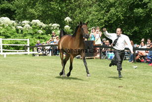 macattraction_9260.jpg