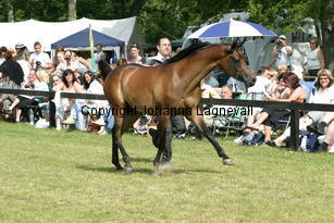 macattraction_9261.jpg