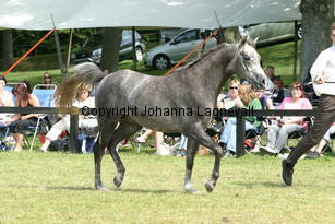 niewton_9264.jpg