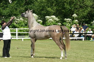 wasoonseternity_9244.jpg