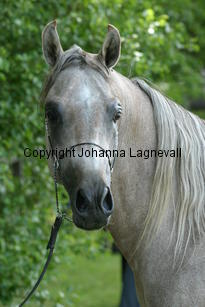 wasoonseternity_9267.jpg