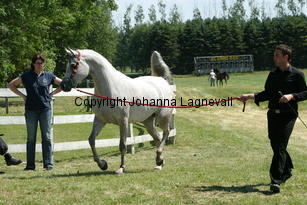 chaquira_9336.jpg