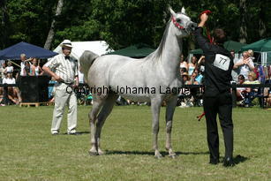 chaquira_9337.jpg