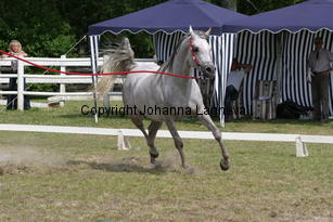 chaquira_9948.jpg