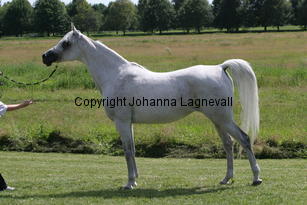 jarisha_8704.jpg