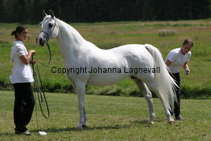 prognoza_8694.jpg