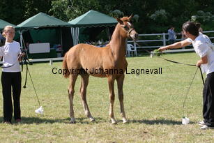 constantia_8813.jpg