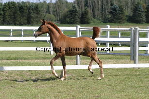 constantia_8818.jpg