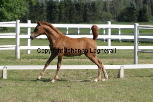 constantia_8819.jpg