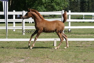 constantia_8820.jpg