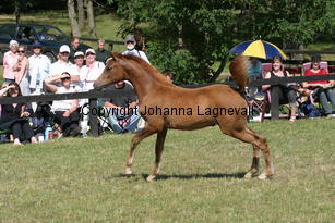constantia_8821.jpg