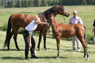 jbprizcilla_estetica_8776.jpg