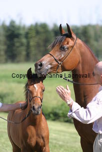 jbprizcilla_estetica_8854.jpg