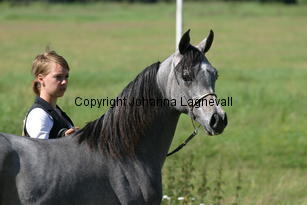 donnaisa_9029.jpg