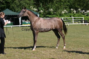 gajaselene_8972.jpg