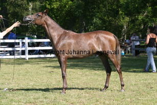 gamoura_9002.jpg