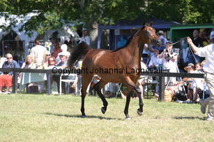 fanasira_9040.jpg