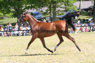 zaditta_9045.jpg