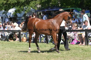 zaditta_9117.jpg