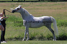 doline_8498_2.jpg