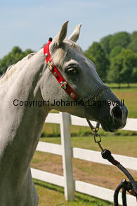 doline_8543_2.jpg