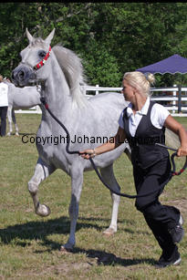 doline_9544_2.jpg