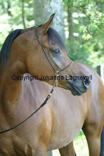 estetica_8538.jpg