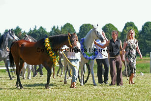 img_9563_2.jpg