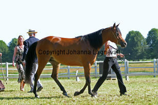 img_9566_2.jpg
