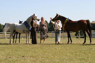 img_9575.jpg