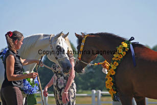 img_9576_2.jpg