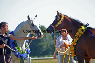img_9579_2.jpg