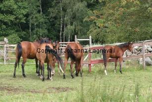 img_134_3450.jpg