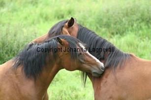 img_134_3453.jpg