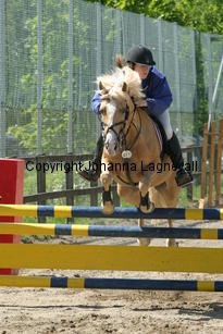 katarina_norrholmsbuttercup_189_8904.jpg