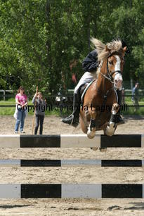 victor_focusii_189_8913.jpg