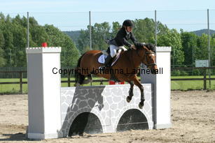 joy_baileys_190_9045.jpg