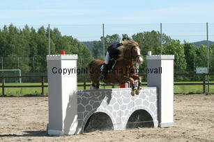 victor_focusii_190_9037.jpg