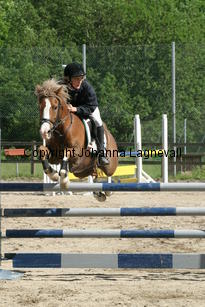 victor_focusii_190_9039.jpg