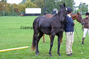 mightybright_3409-2.jpg