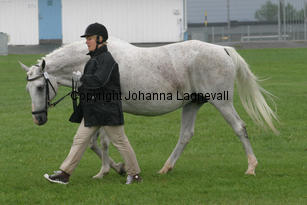 missphaeta_3549-2.jpg